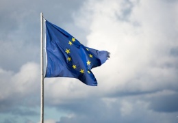  ЕС поддерживает земельную реформу в Украине: текст заявления