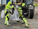 ФОТО: скульптуры львов вернулись на Нарвский променад