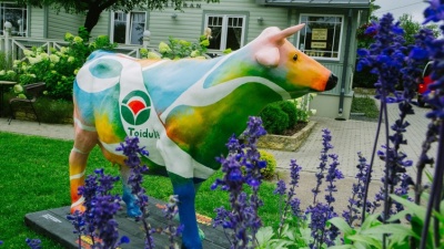 В Нарве около торгового центра появится скульптура коровы 