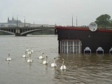Чешское наводнение перепугало туристов 