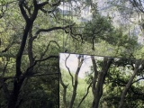 Зеркальный дом в мексиканском лесу