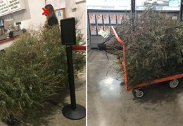 Американка попыталась вернуть елку в магазин после праздников