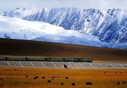Магистраль Цинхай-Пекин самая высокогорная железная дорога в мире