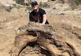 Студент раскопал древнюю находку, которой 65 миллионов лет