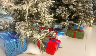 Жители Эстонии готовы потратить на рождественские подарки 180 евро 