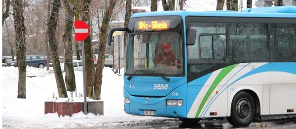 Управа и Narva Bussiveod помирились и вместе пытаются отказаться от перевозки дачников