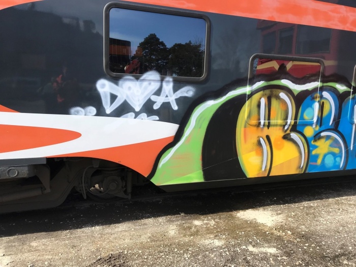 Полиция разыскивает разрисовавших поезд в Рийзипере хулиганов 