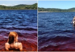 Озеро кока-колы, на которое съезжаются туристы со всего мира