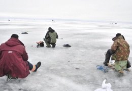 На Нарвском водохранилище рыбак провалился под лед и пропал 
