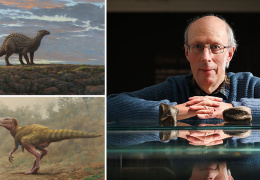 В Ирландии впервые обнаружили кости динозавра 