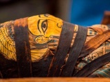  Археологи открыли древние египетские гробницы и нашли 50 мумий с удаленным у них мозгом