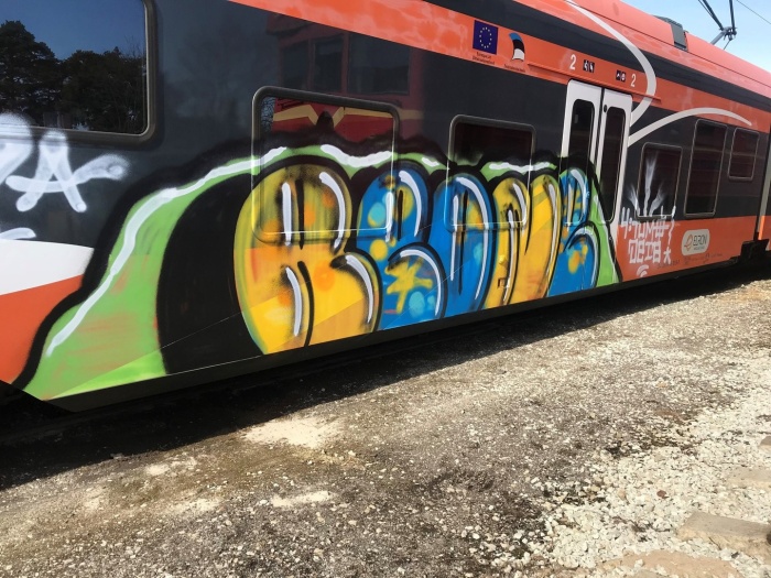 Полиция разыскивает разрисовавших поезд в Рийзипере хулиганов 
