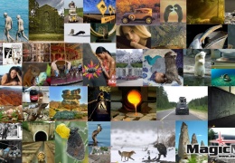 Фотоподборка