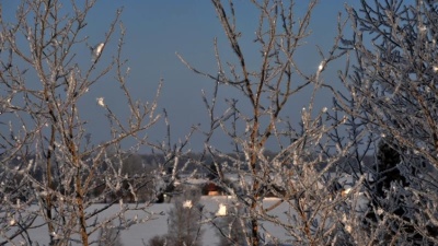 В Нарве зарегистрировали новый температурный рекорд этой зимы 