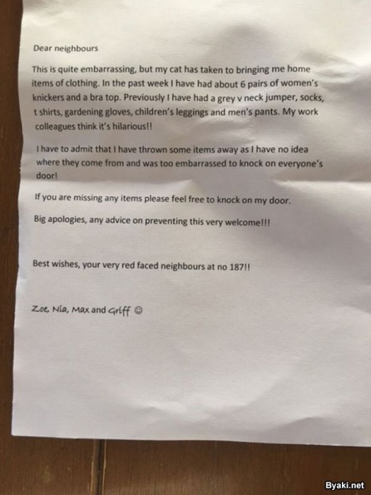 Женщине пришлось извиняться перед соседями за кошку, которая ворует их белье