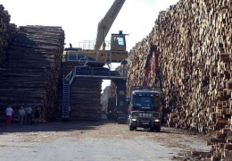 Крупнейшее в мире хранилище древесины в Швеции 