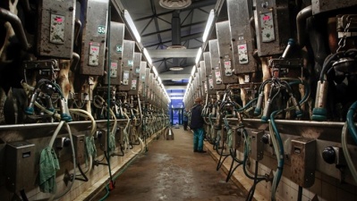 За рост производства молока Эстонию могут оштрафовать 