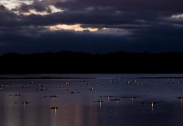 Фото, сделанные на болоте после заката солнца