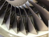 Сотрудники аэропорта случайно обнаружил сову, спящую в двигателе самолёта