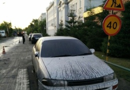 0 Дорожники в Омске обдали горячим битумом 15 машин