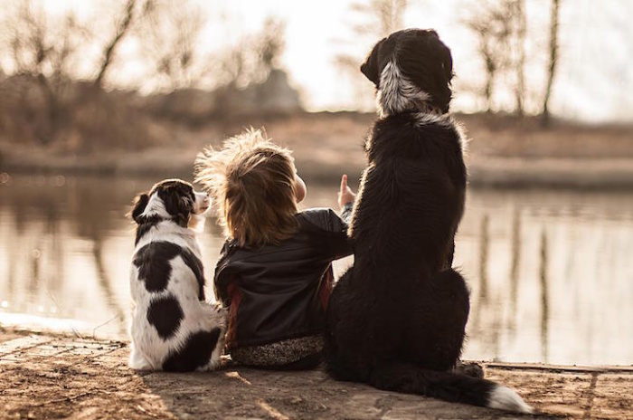 Трогательная дружба мальчика и трех собак