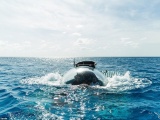 Triton Submarines сделала под заказ частную подлодку за 416 миллионов
