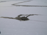 В Пярнуском заливе под лед провалился микроавтобус с четырьмя пассажирами