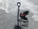 30 фотографий про то, как канадцы справляются со снежным армагедеццом