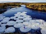 Удивительные "ледяные блины" в реке в Шотландском нагорье