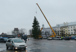 Видео. На Петровской площади ставят елку