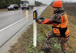 На шоссе Таллинн-Нарва установили отражатели, отпугивающие диких животных 