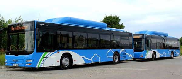 В религиозные праздники Нарва вновь увеличит число отправлений автобусов на кладбище