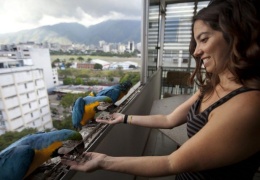 Удивительные венесуэльские «голуби»