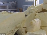  Заводские рабочие вчетвером украли больше тонны сыра 