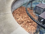Художник оставила 100 000 монет в старом фонтане и через 24 часа они исчезли