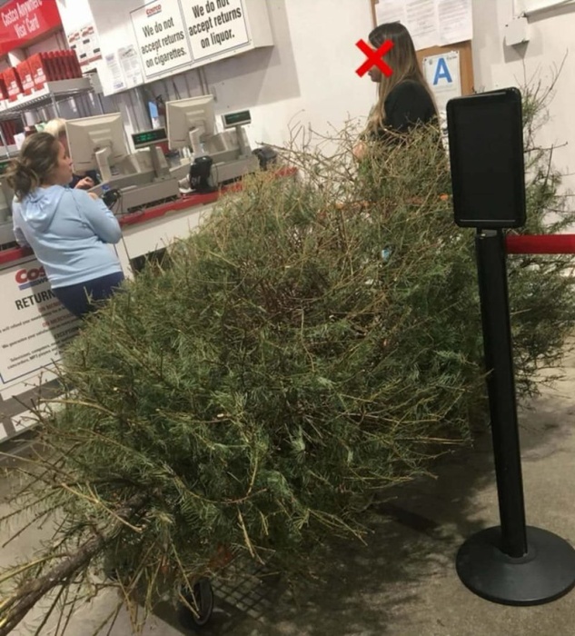 Американка попыталась вернуть елку в магазин после праздников