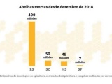  За 3 месяца в Бразилии погибло около 5 миллионов пчёл 
