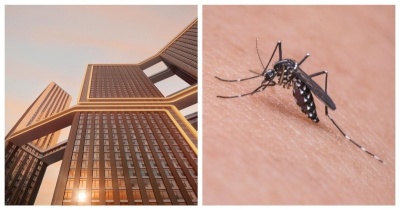 Почему считается, что комары не залетают на верхние этажи