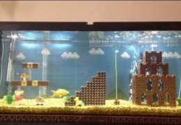 Супер Марио в аквариуме