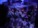 Удивительные аквариумы