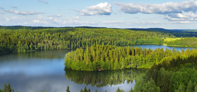 В Финляндии в связи с рекордным нагреванием воды опасаются массовой гибели рыбы