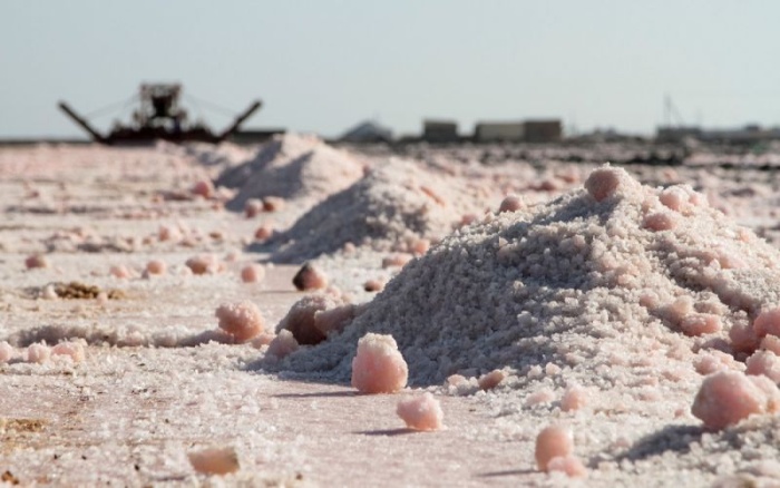 Как добывают розовую соль в Крыму
