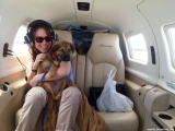 Эти пилоты спасают животных от гибели