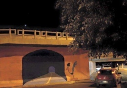 Коварная кукушка-подорожник завела в нарисованный тоннель