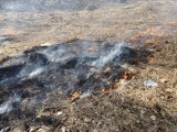 Проблема сжигания прошлогодней травы в Ида-Вирумаа по-прежнему актуальна