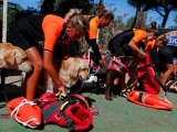 Школа собак-спасателей в Италии