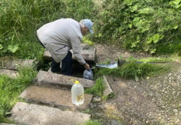 Родник в Рийгикюла: А иногда здесь даже очередь