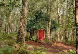  Disney построил настощий дом Винни-Пуха в английском лесу и в нем есть особые правила 