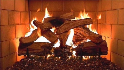 Правительственное разрешение сжигать на Нарвских электростанциях древесину повысит ее стоимость