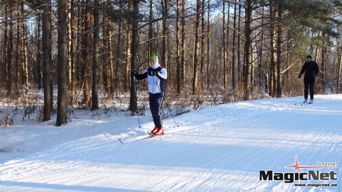  В Нарве впервые пройдет лыжный марафон 
